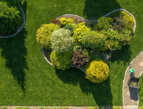 Der Schlüssel zu einem traumhaften Garten: Professionelle Gartenpflege