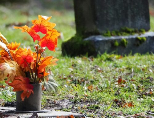 Grabpflege im Herbst: Farbenfrohe und wetterfeste Gestaltung