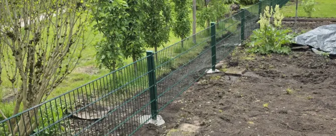 Wann sich das Entfernen einer alten Hecke wirklich lohnt