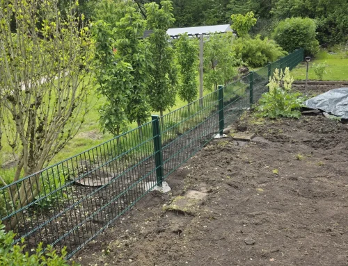 Wann sich das Entfernen einer alten Hecke wirklich lohnt