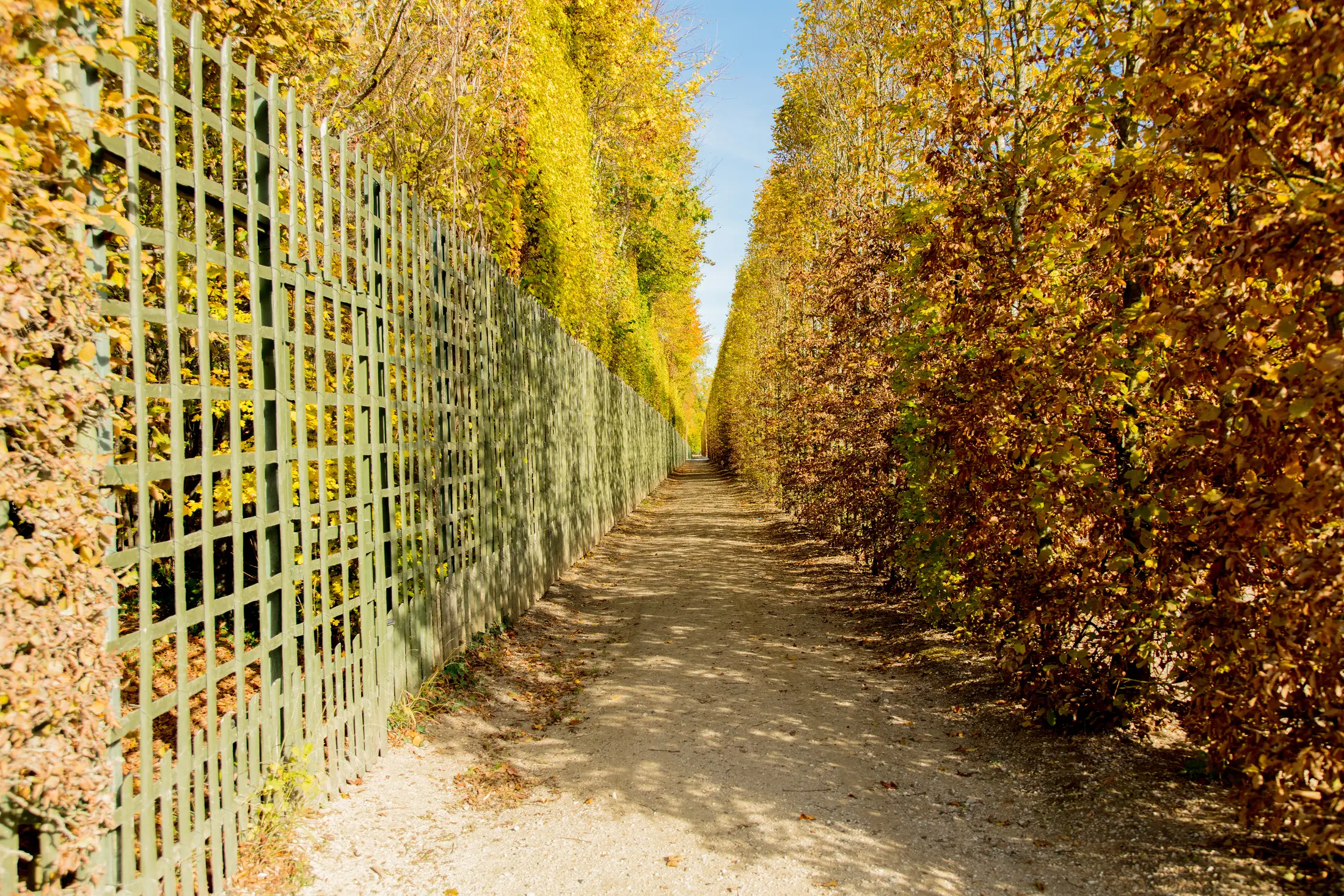 Sichtschutz, Pflegeaufwand, Nachbarrecht: Woran Sie erkennen, ob an Ihrer Grundstücksgrenze eine Hecke oder ein Zaun die bessere Wahl ist.