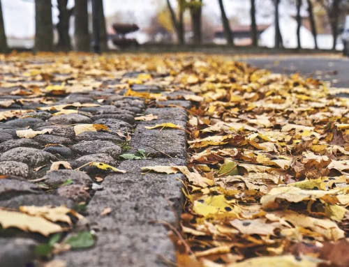 Wer im Herbst das Laub vom Gehweg räumen muss